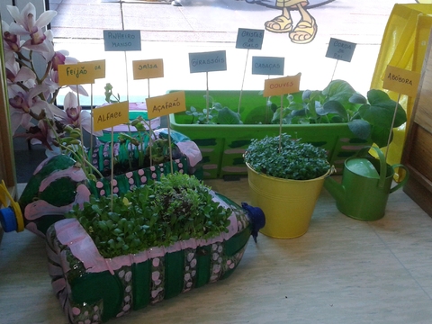 Germinação ma sala de aula. Sala 1 do Jardim de Infância!